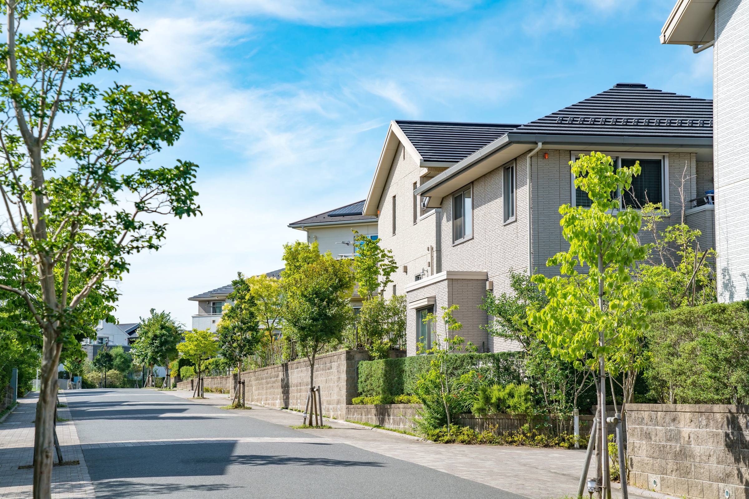緑豊かな住宅街の街並み